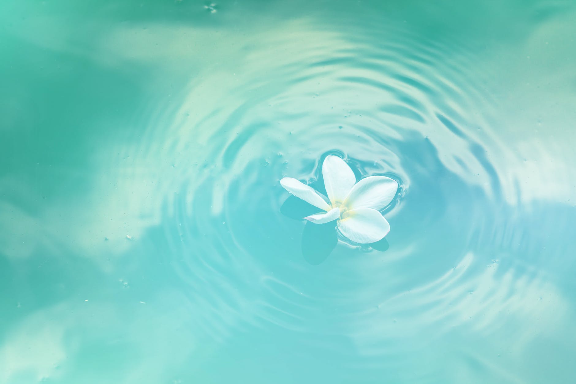 Working with TRUTH, letting go of the chains of the past