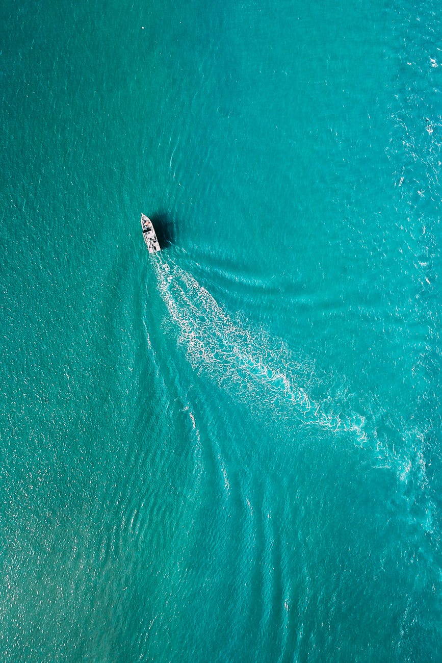 Blue and the OCEAN of TRANQUILITY
